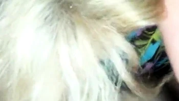 Single American Mom Loves Sucking Cock