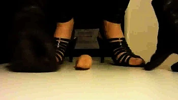 Tormenting and trampling Jason's cock