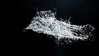 Bendy Sophia Grace at watersports trailer