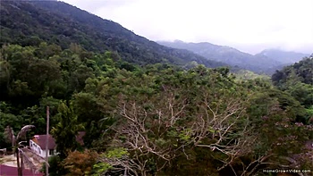 Julia Is Thirsty For That Load - Julia Vearth & Alex Vearth