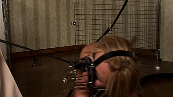 Sexy babe treated as a dog