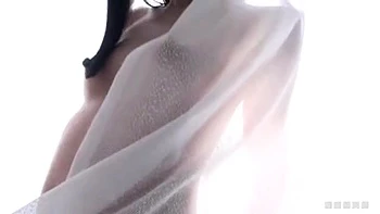 01070,Japanese erotic porn project