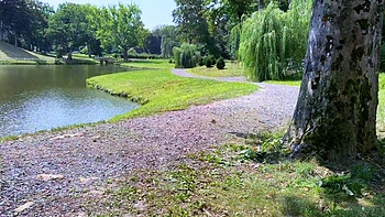 Steamy POV Blowjobs Outdoors