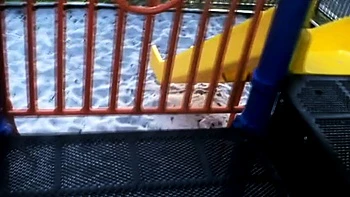 Great amateur video of Brunette POV oral sex