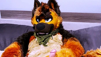 Hartes Blowjob mit intensivem Fickspaß