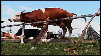 Vintage Blonde MILF Rough Fuck Outdoors on Farm