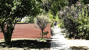 Grooby girls baise anale hardcore avec star trans