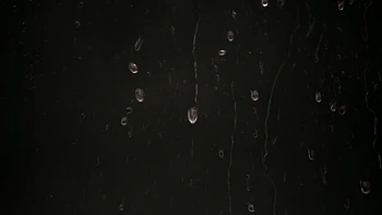 Blonde Lesbians Pissing and Golden Shower Fun