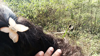 Stepbrother Fucks Hot Indian Maid Laxi Ammu Deep in Jungle