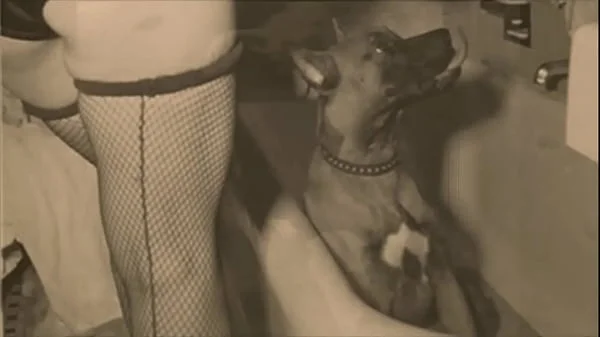 Dark Lantern Entertainment presents 'Beauty And The Beast'