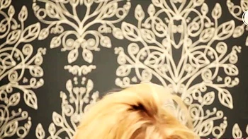 Danni King strippt solo in verführerischen Strümpfen