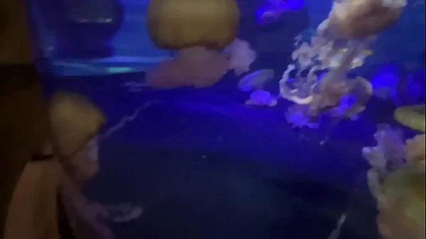 Aquarium Trip with Aliya Brynn Turns Into Aggreive Ass Eating and Milking