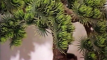 Banging Her Hard On Her Bed